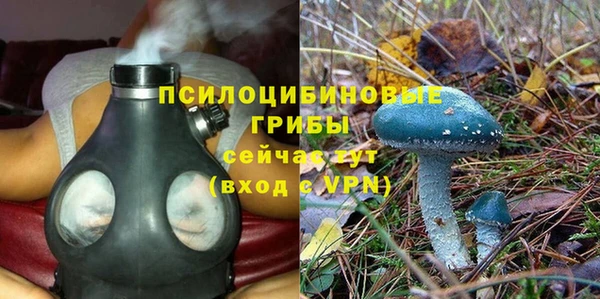 прущий лед Горно-Алтайск