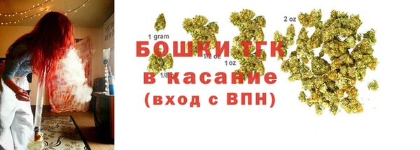 круглые Вяземский