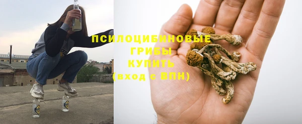 мяу мяу мука Горнозаводск