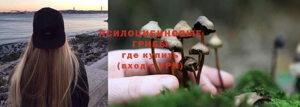 мяу мяу мука Горнозаводск