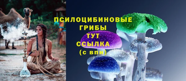 круглые Вяземский