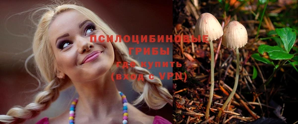 экстази Горняк